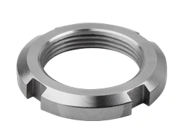 Hastelloy B2 Slotted Nuts